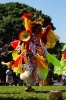 DSC_9177.jpg