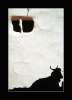 Untitled-16.JPG