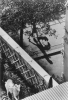 KERTESZ_HORSE.JPG