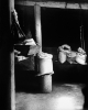a25.jpg