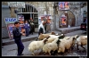 serbest__mardin_1981.jpg