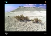 IMG_0054_copy.jpg