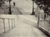 KERTESZ_MONTMARTRE.JPG
