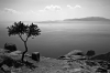 11_Memento-Tree_and_Island-011.jpg