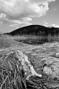21_Memento-Spring_Lake-021.jpg