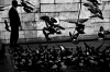 DSC_7615r.jpg
