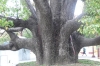 L1020267.jpg