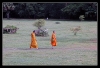 Kambocya_(22).jpg